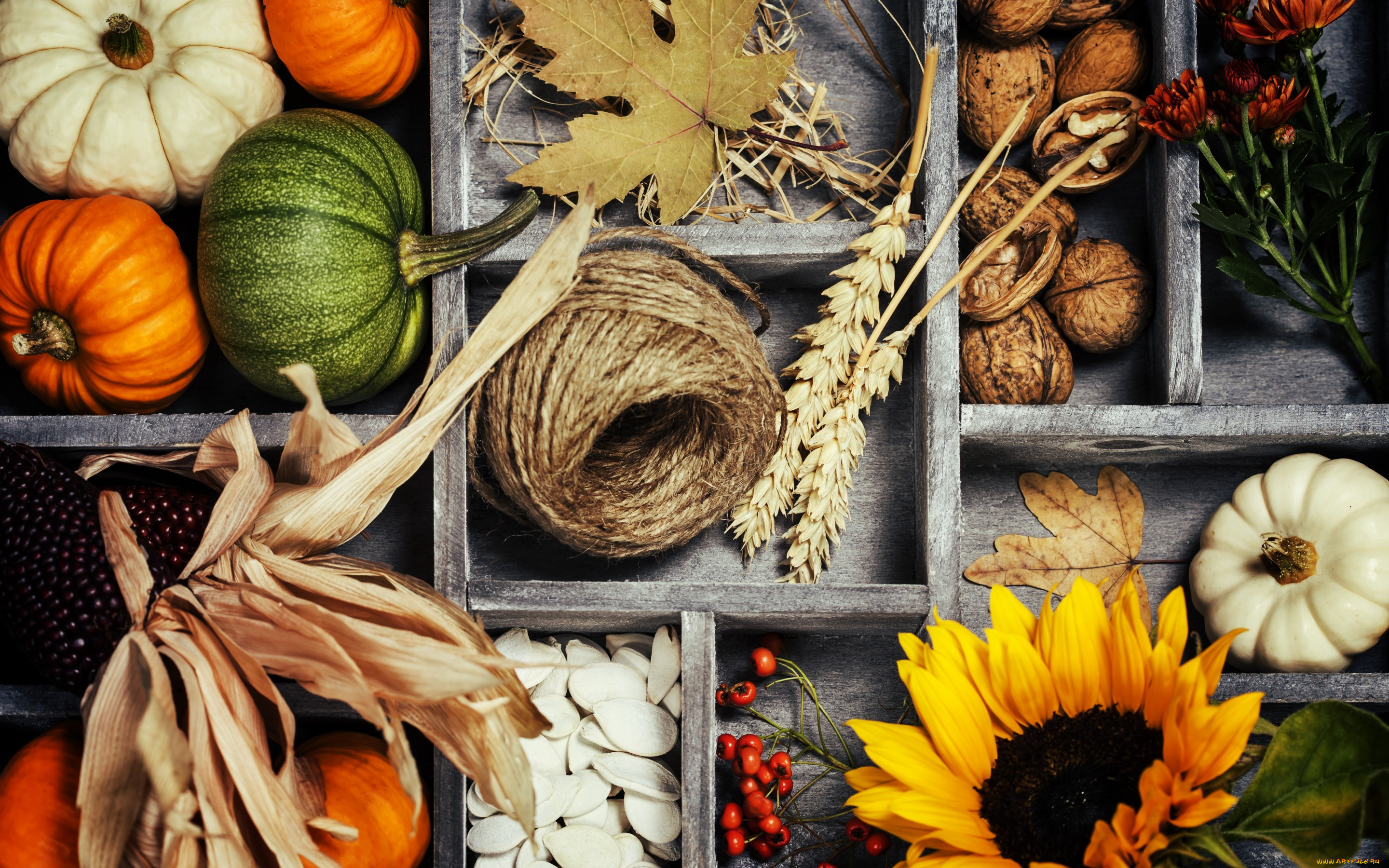 , , harvest, , , , autumn, , , still, life, vegetables, 